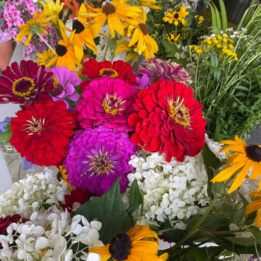 Bulk Bucket of Seasonal Blooms