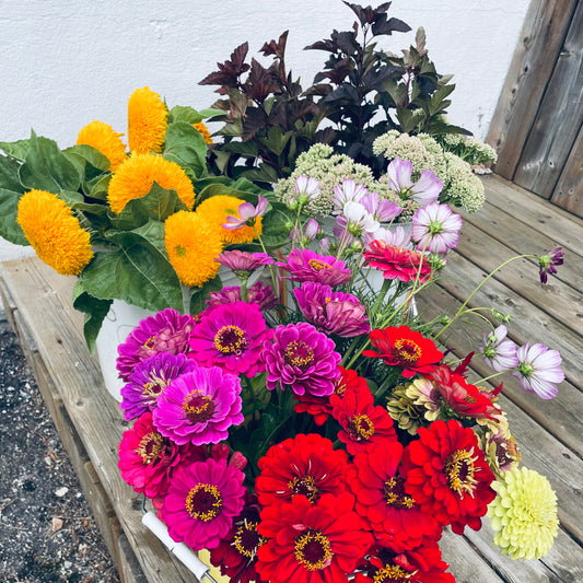Bulk Bucket of Blooms