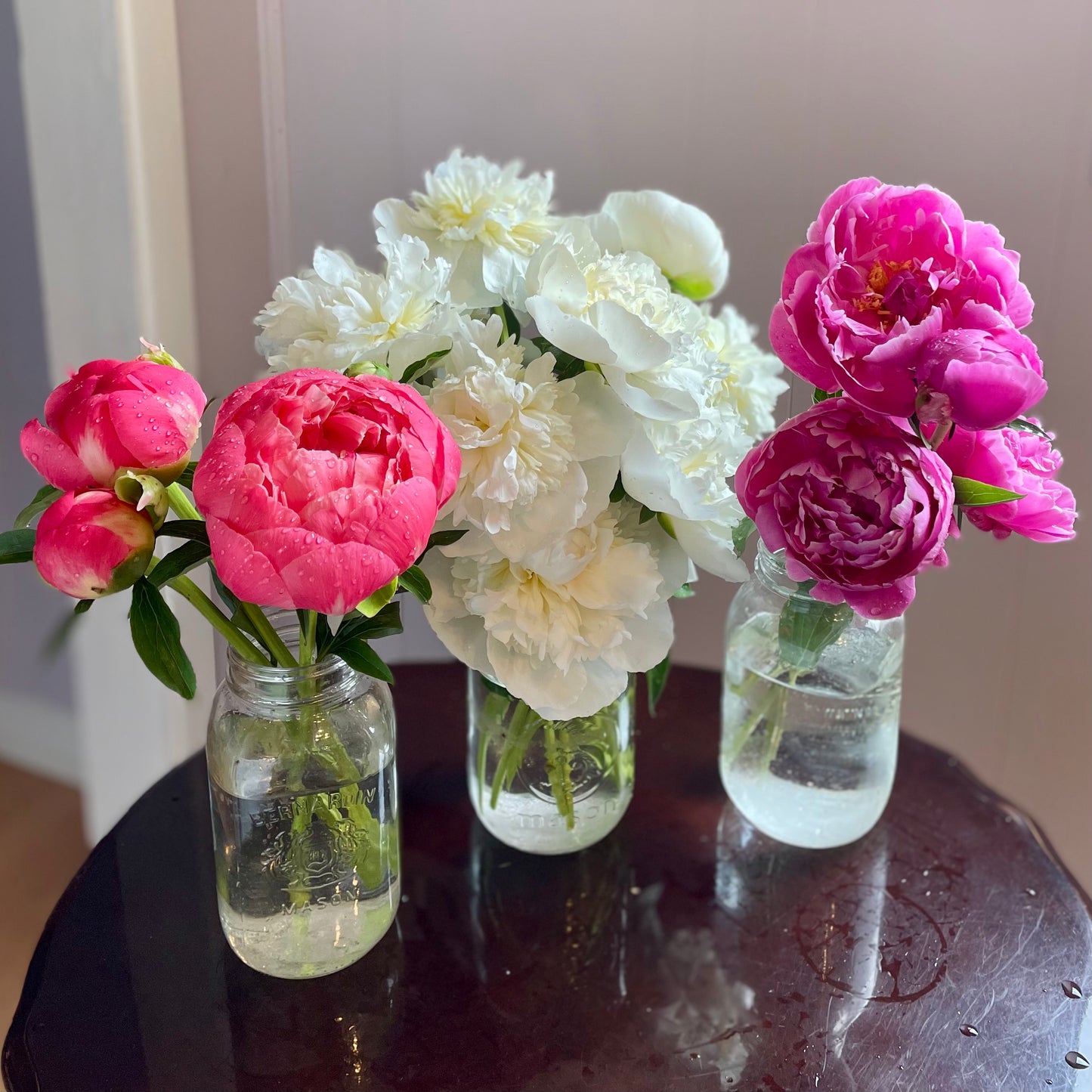 Peonies