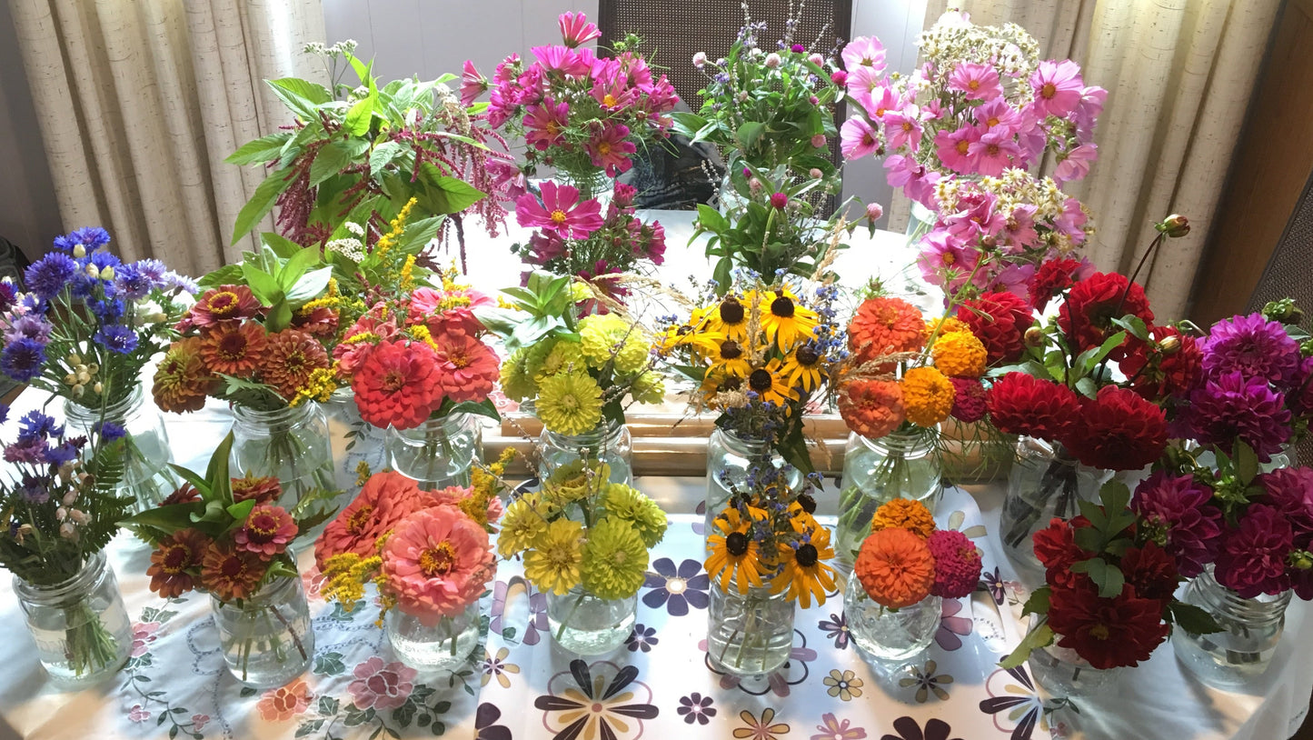 Wholesale Blooms (for florists & event planners)